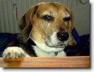 a kdo je tady největší drňačka???!