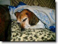 a teď mě nechte spát