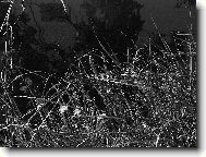 Podzimní procházka