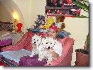 Westíci Beníček a Bettynka