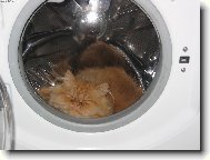 Tady je to nejlepší!!!