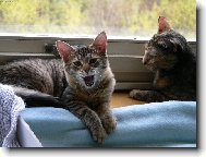 Jsem strašnéé unavenááá !