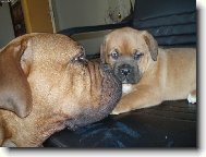 škoda pusinky, která padne vedle