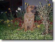 Jsem stejně božský jako mé jméno: Amon-Ra