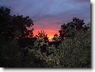 Všude dobře - ale doma je doma