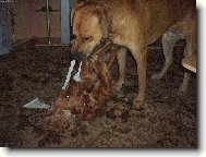 Dej to sem!! Nedám!!!