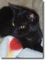 tak to je náš mazel....