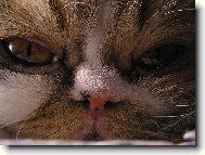 Už mě prosím nefoť...