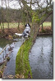 Hela Od Staré vsi po honu