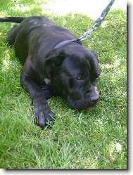 To jsem ale unavená