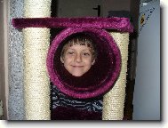 Zajímavý kocour...,že by nová rasa?