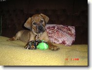 Teprve se rozhlížím mám 2.měs.