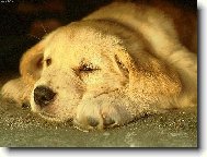 Konečně nějaký odpočínek