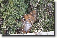 "Chtěl bych taky soutěžit.."