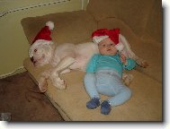 Vánoční odpočinek