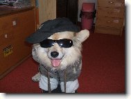 Beníček skejťáček