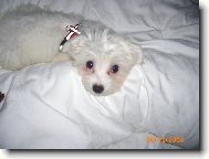 Moc ráda odpočívám se svou paničkou