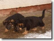 Stejně budu rychlejší