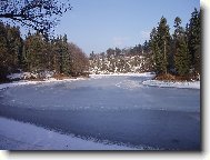 Průhonický park v zimě