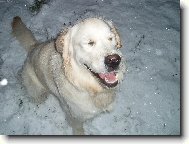 To studí a já se fotit nechci.. :)