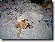 Spát se dá opravdu všude,i v nohavici.