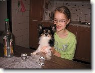 čivava slaví silvestr