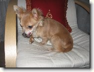 že by něco k snědku...