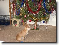 přinese mi něco Ježíšek?