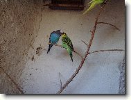 Nastala ta pravá chvíle