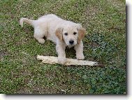 Ten klacek ti nedám!