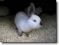 Z profilu jsem hezčí...