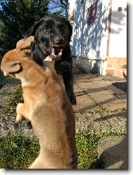 hele, klídek, já to tak nemyslela....