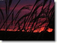 Východ slunce v Horních Polžicích