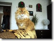 Jen tak se rozhlížím