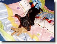 nejkrásnější věk