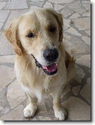 Já se fotit nebudu....