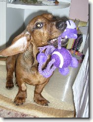 to jsem dostala na Vánoce