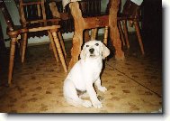 Já to nebyla, opravdu!