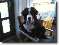 Ben a jeho křeslo :)