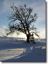 Slunce v duši v roce 2007.