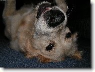 Svět vzhůru nohama