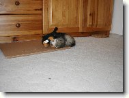 Jen počkej, já ti ukážu