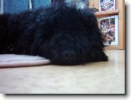 taková šmouha no to přeci nejsu jáá