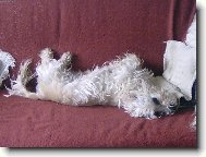 To je pováleníčko !