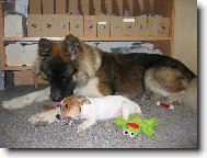 Ve dvou se to lépe táhne.