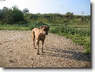 Už zase jdeme??????