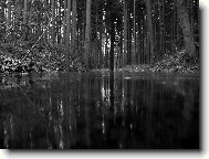 Valšovické jezírko