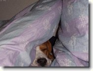 koukám koukám a pak najednou spinkám