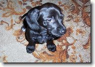 Dáte mi něco dobrého