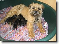 Pyšná maminka Julinka